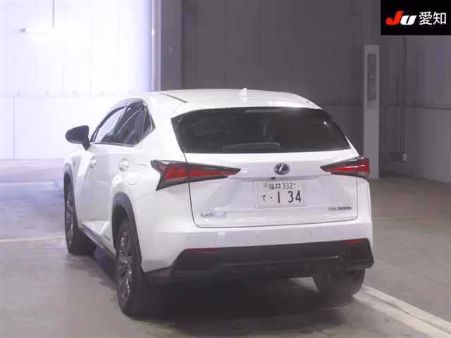 LEXUS NX300