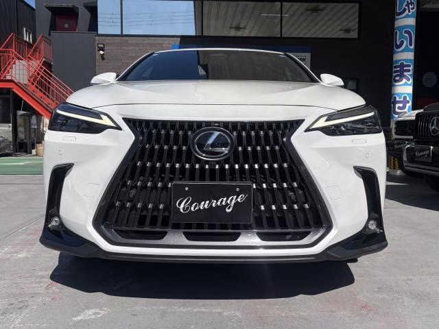 LEXUS NX350H