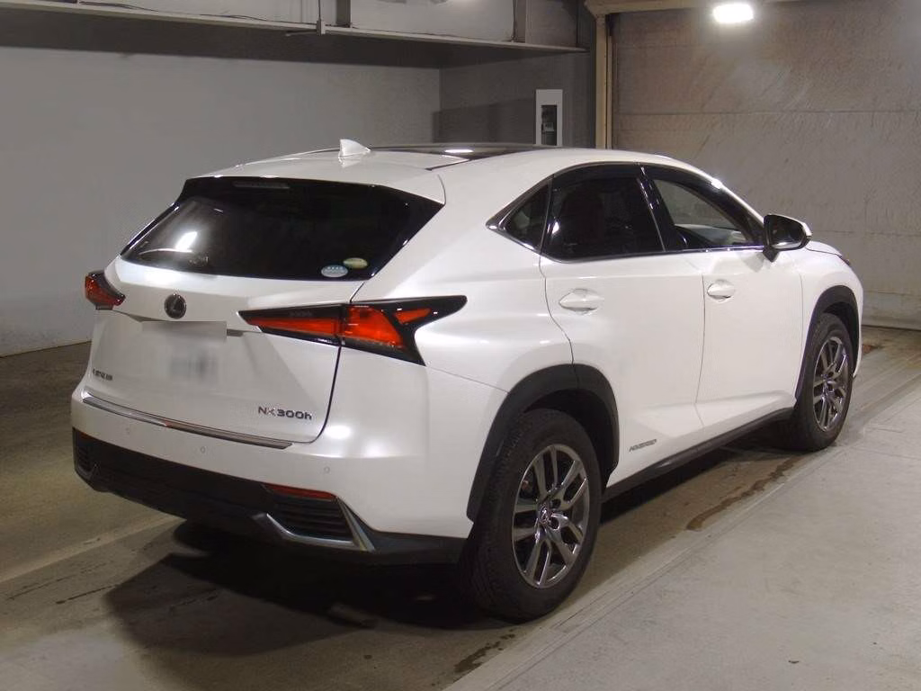 LEXUS NX300