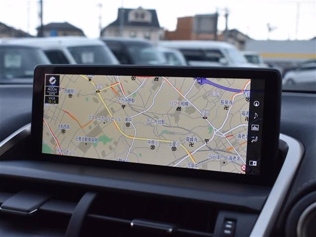 LEXUS NX300