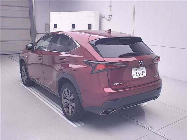 LEXUS NX300