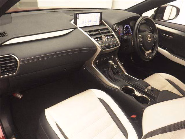 LEXUS NX300