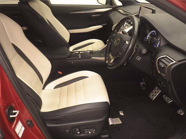 LEXUS NX300