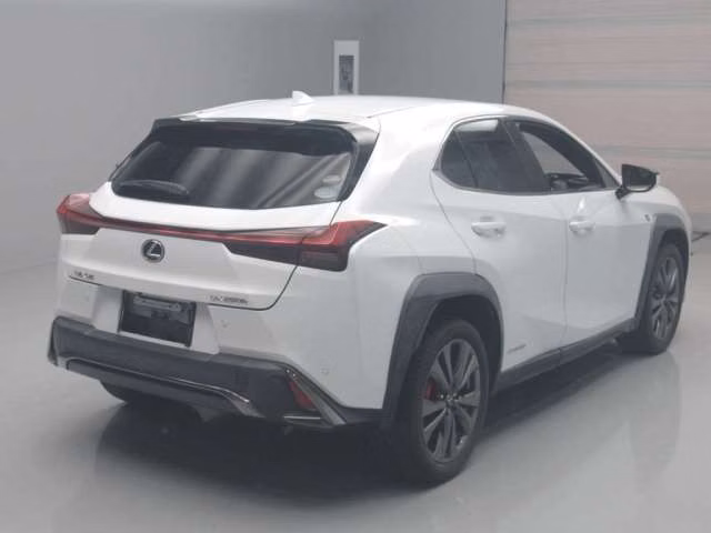 LEXUS UX250H