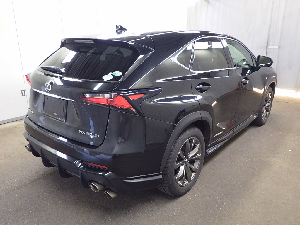 LEXUS NX300