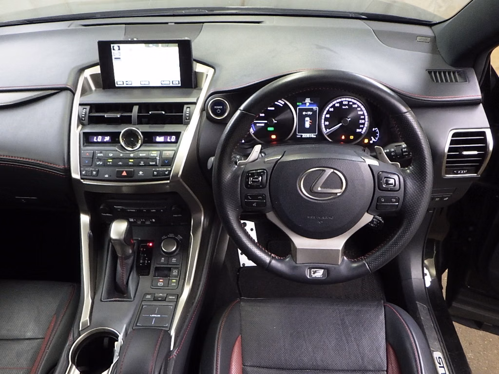 LEXUS NX300