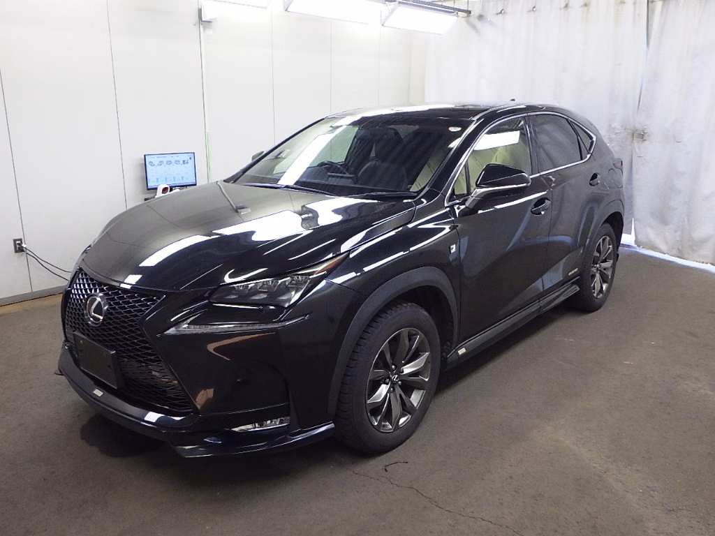 LEXUS NX300