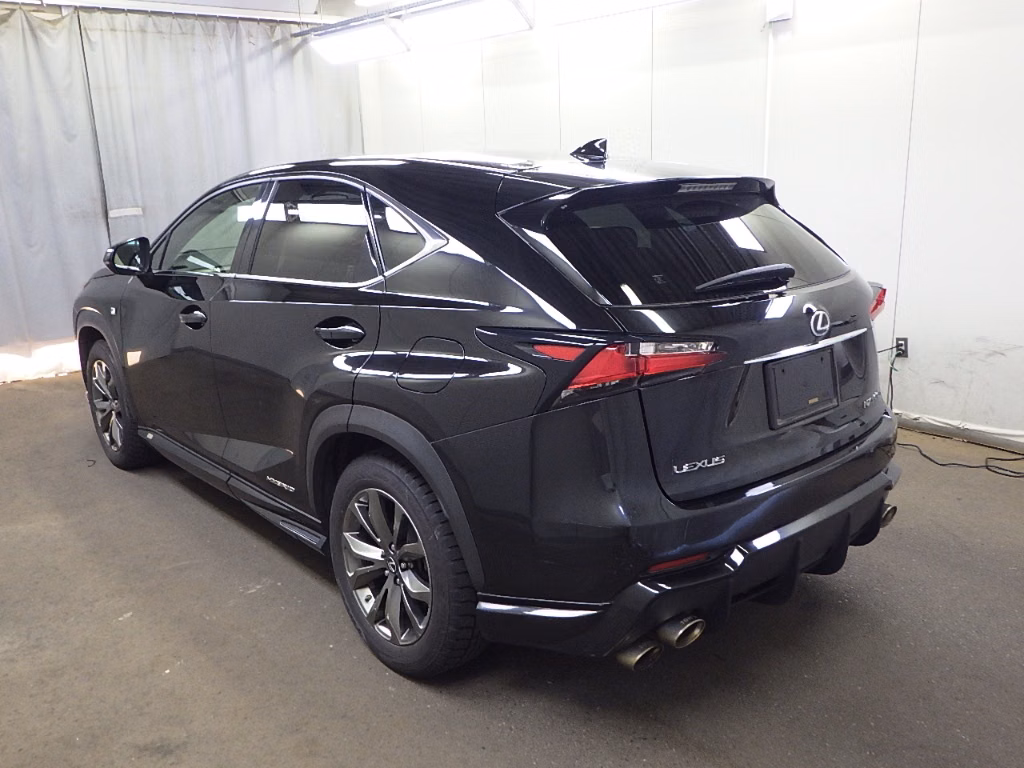 LEXUS NX300