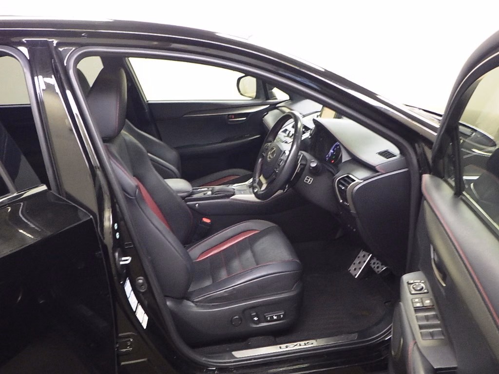 LEXUS NX300