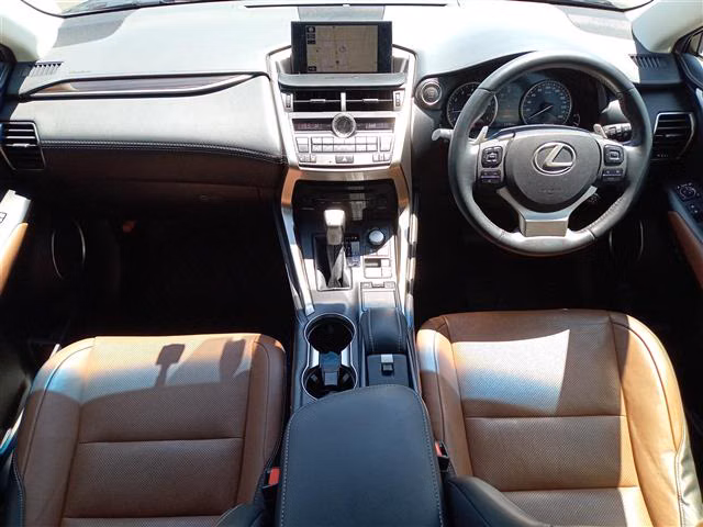 LEXUS NX200T