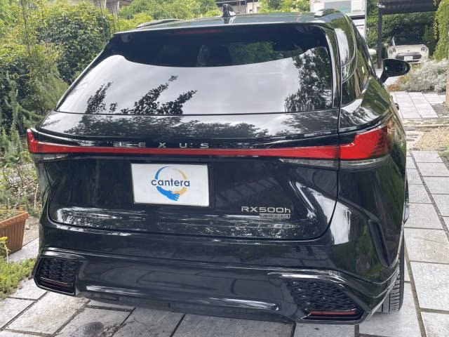 LEXUS RX500H