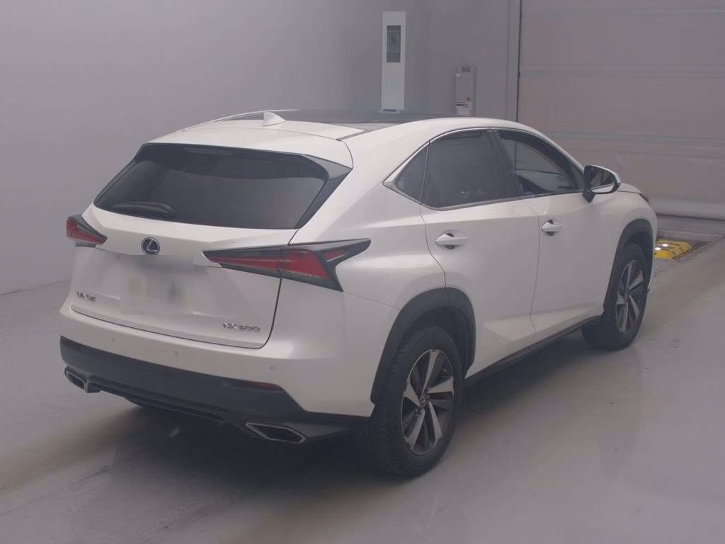 LEXUS NX300