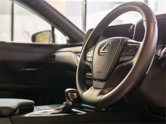 LEXUS UX250H