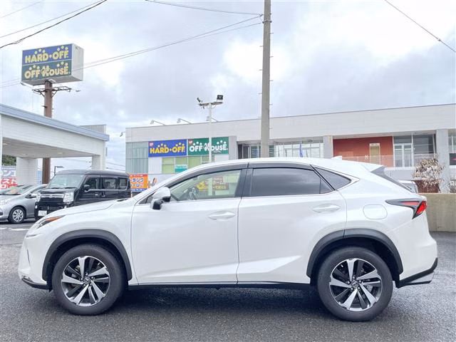 LEXUS NX300