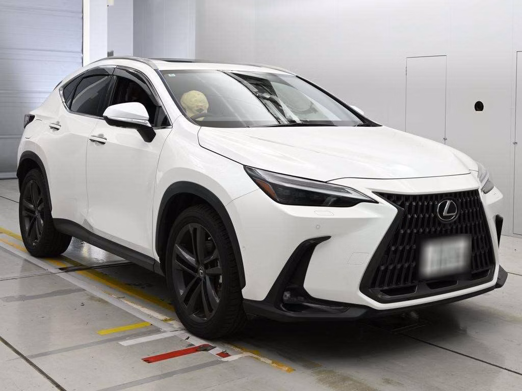 LEXUS NX450H+
