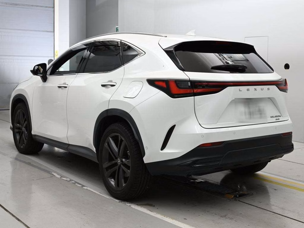 LEXUS NX450H+