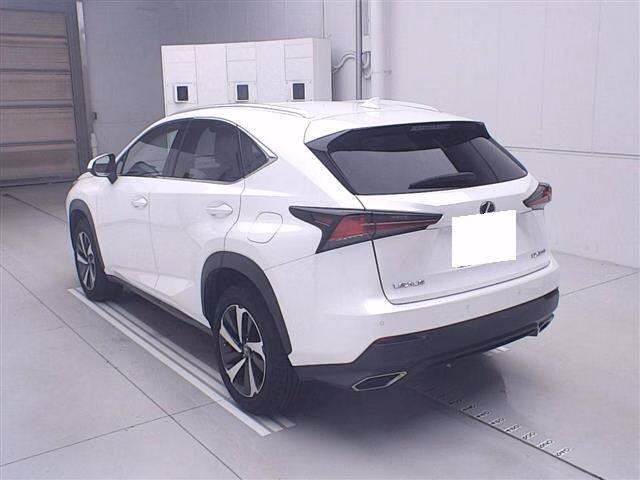 LEXUS NX300