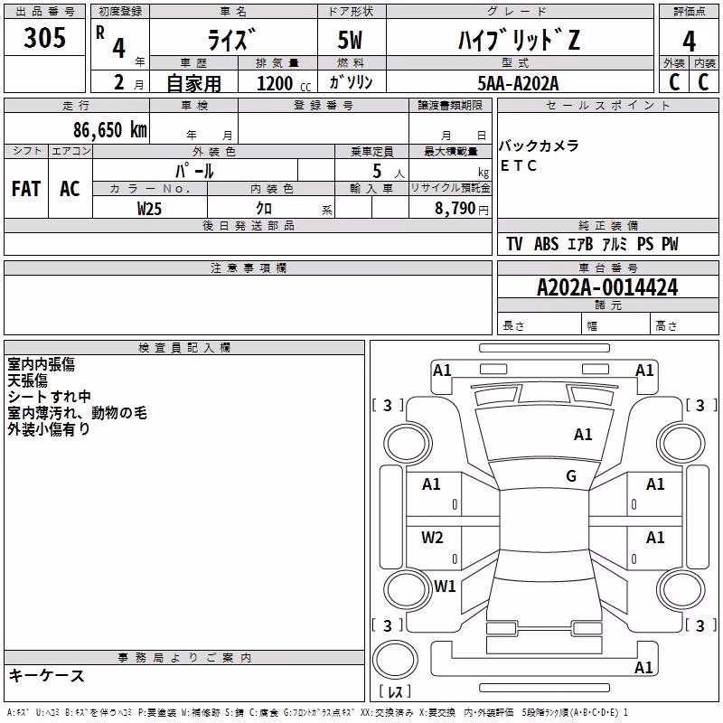 TOYOTA RAIZE