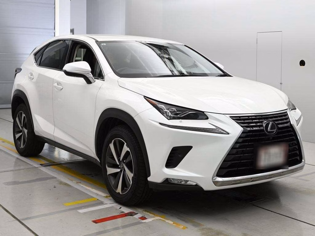 LEXUS NX300