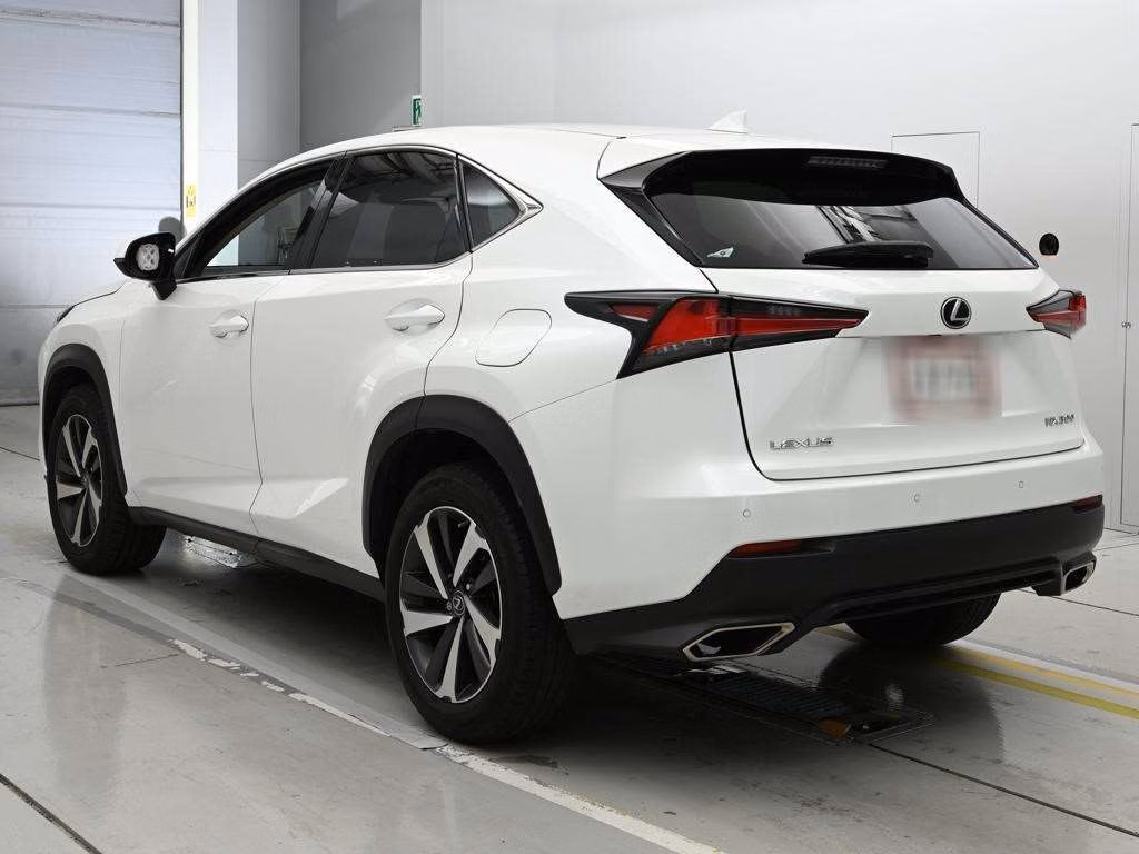 LEXUS NX300