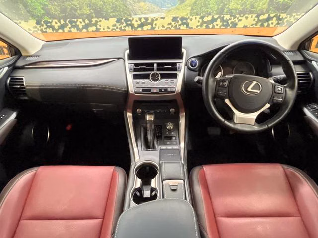 LEXUS NX300H
