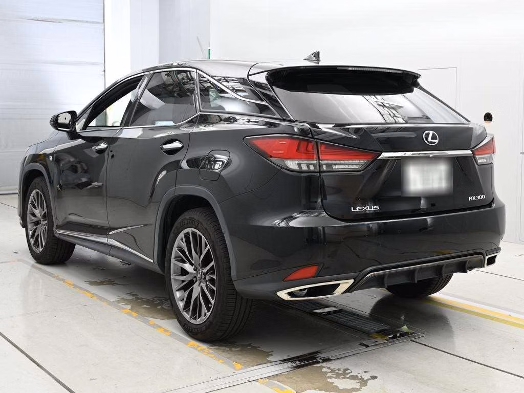 LEXUS RX300
