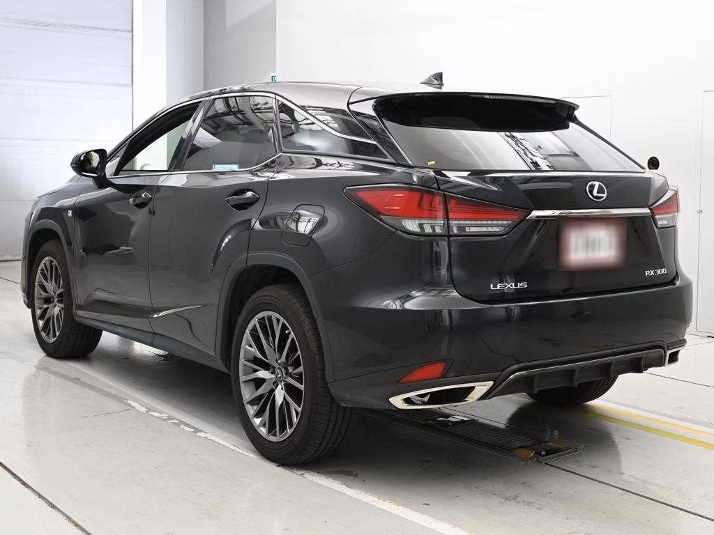 LEXUS RX300