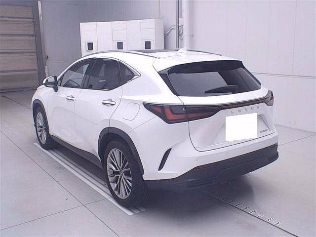 LEXUS NX250