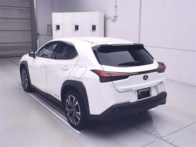 LEXUS UX300E