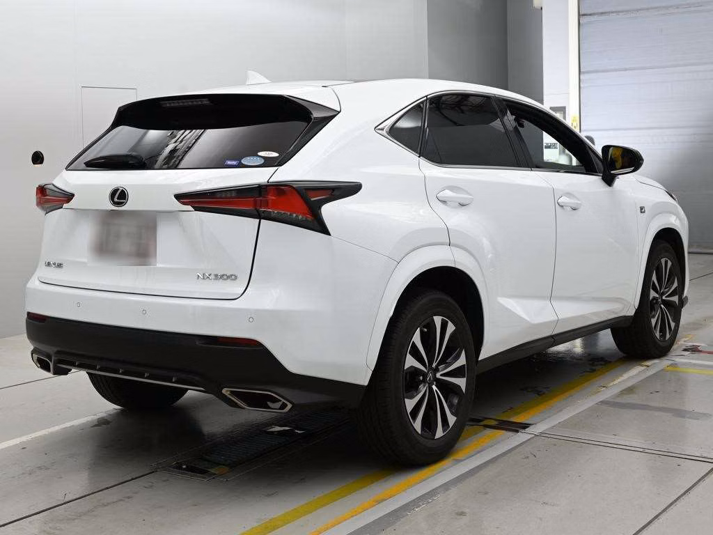 LEXUS NX300