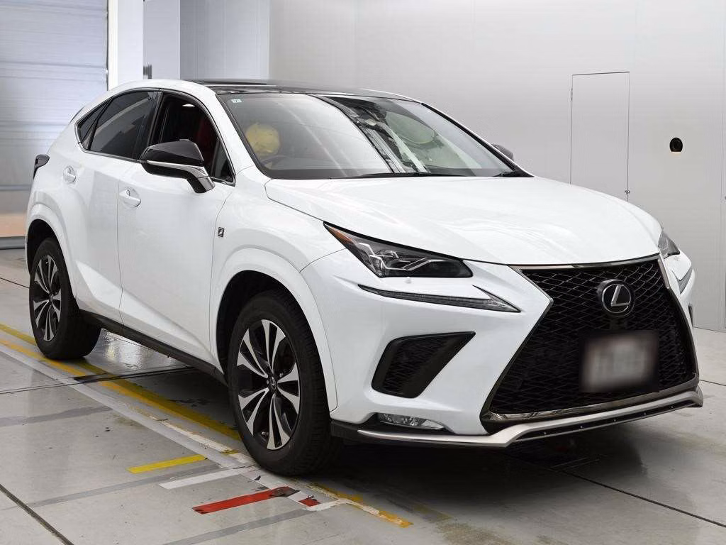 LEXUS NX300