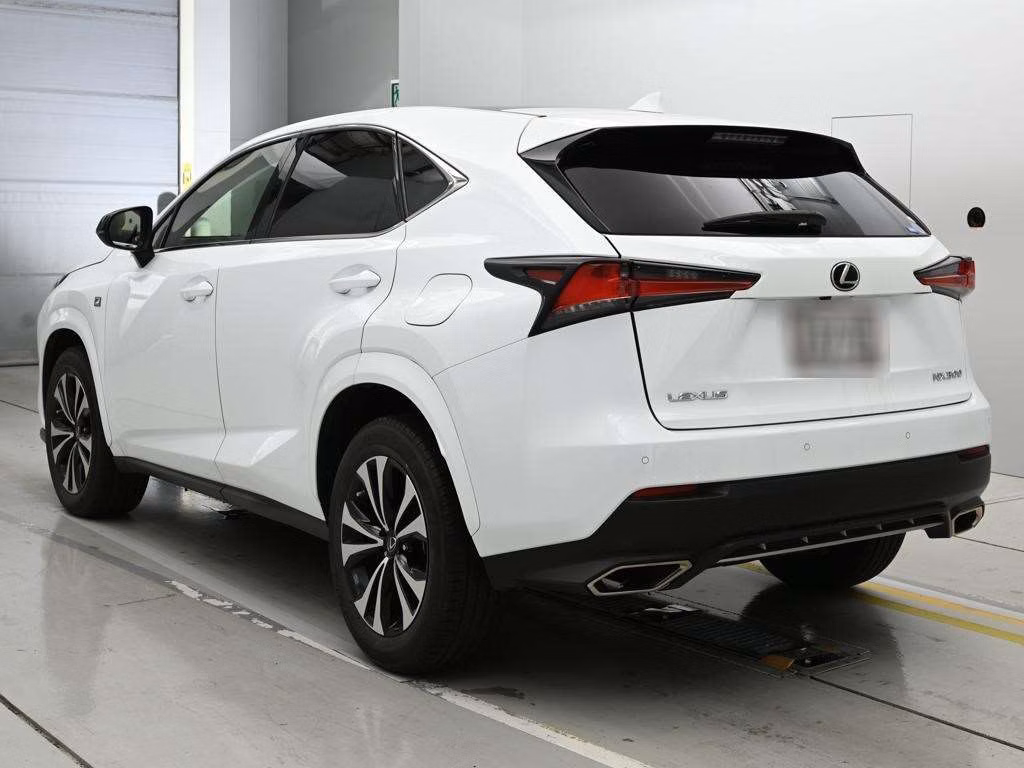 LEXUS NX300