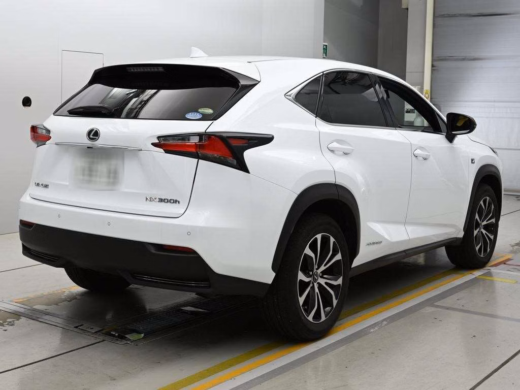 LEXUS NX300