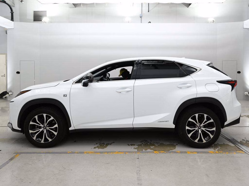 LEXUS NX300