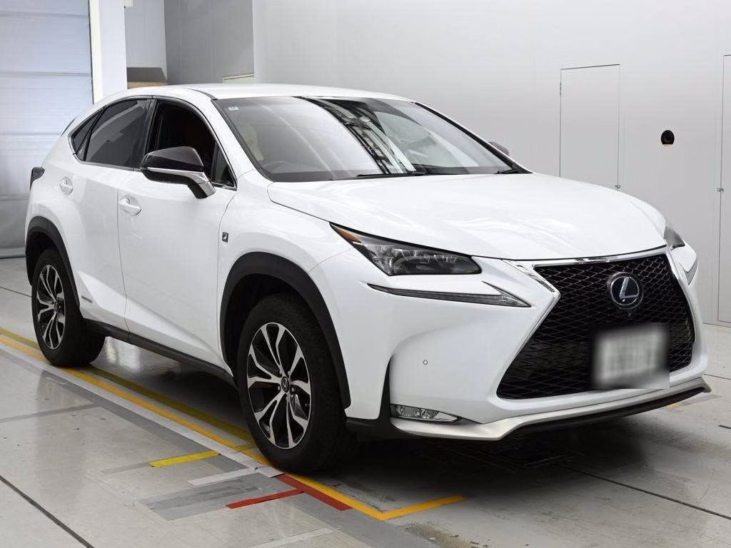 LEXUS NX300