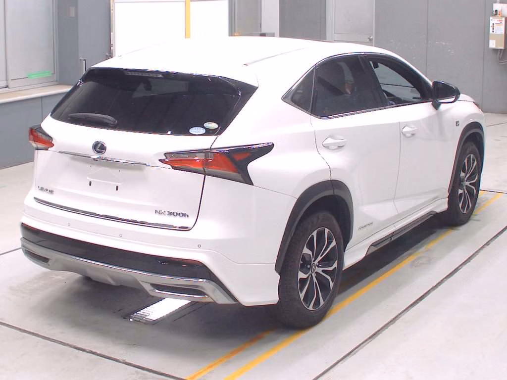 LEXUS NX300