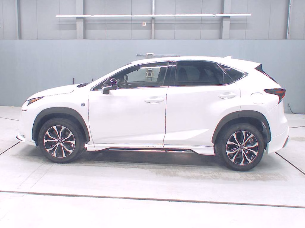 LEXUS NX300