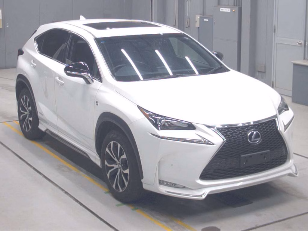 LEXUS NX300