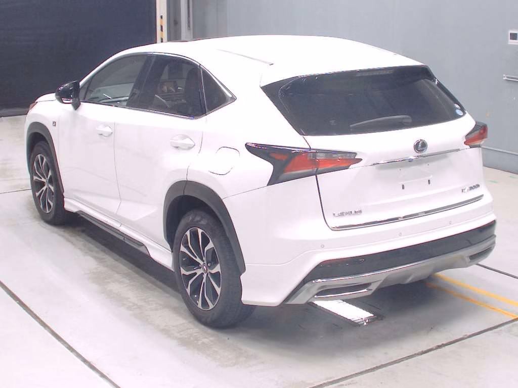 LEXUS NX300