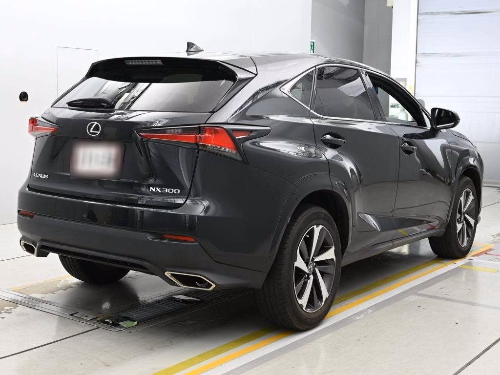 LEXUS NX300