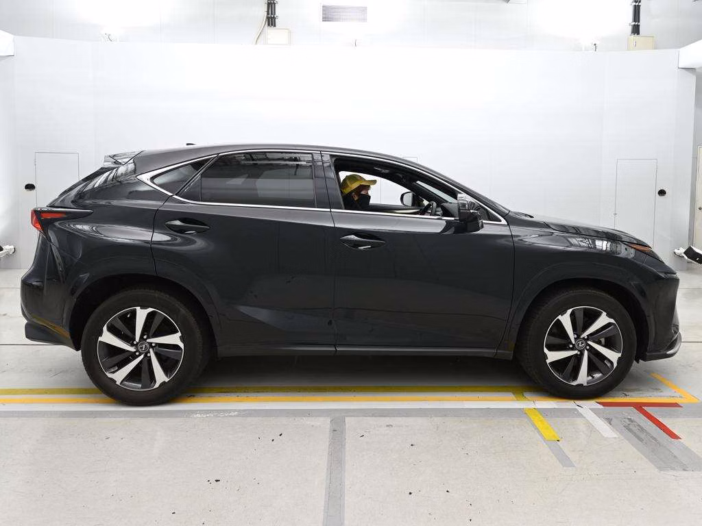 LEXUS NX300