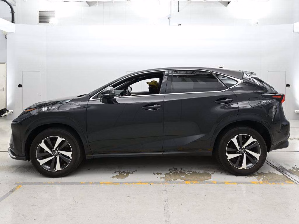 LEXUS NX300