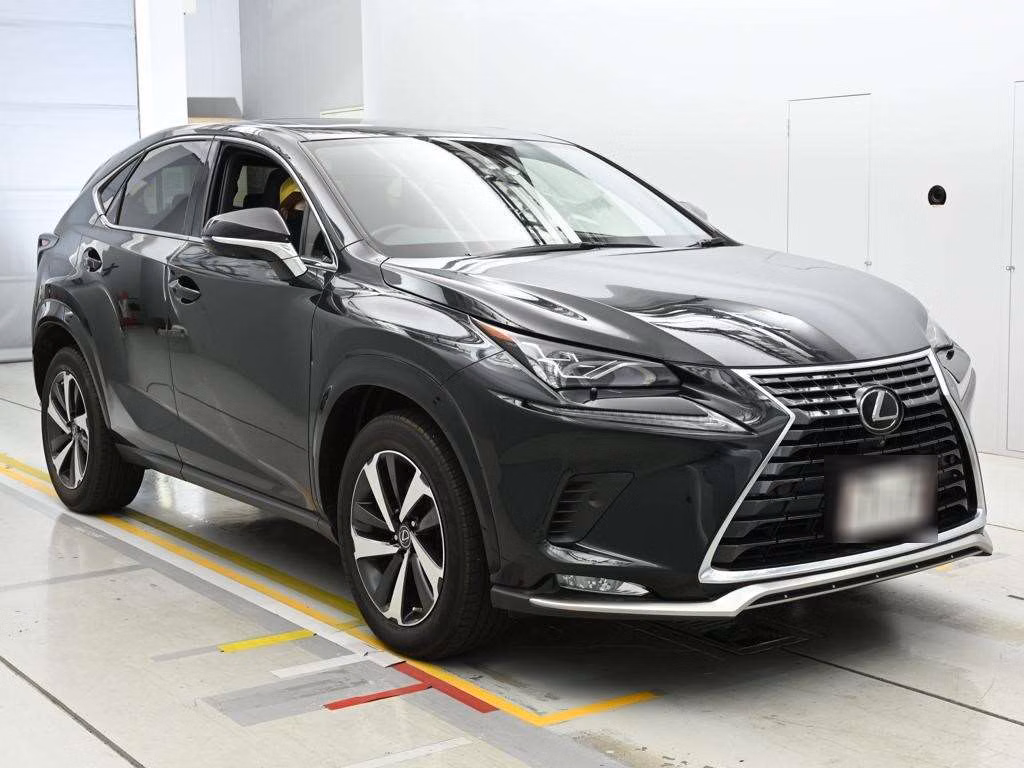 LEXUS NX300