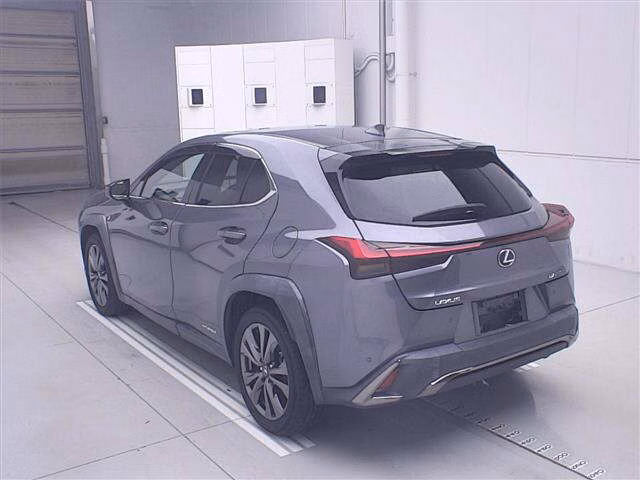 LEXUS UX250H
