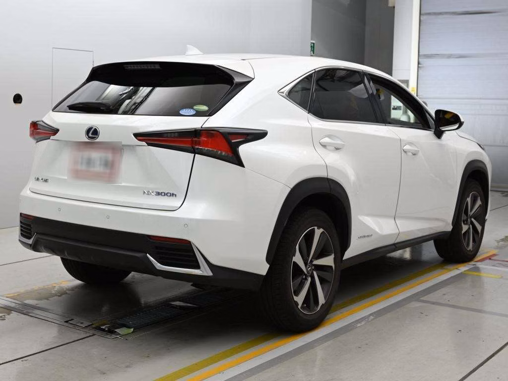 LEXUS NX300H