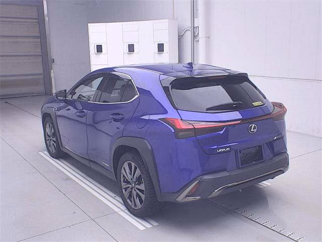 LEXUS UX250H