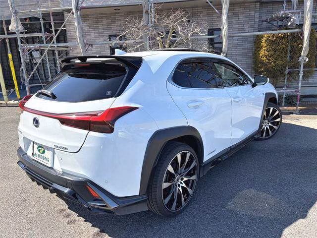 LEXUS UX250H