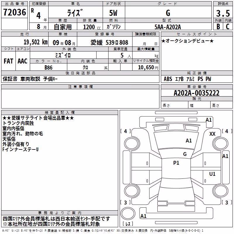 TOYOTA RAIZE