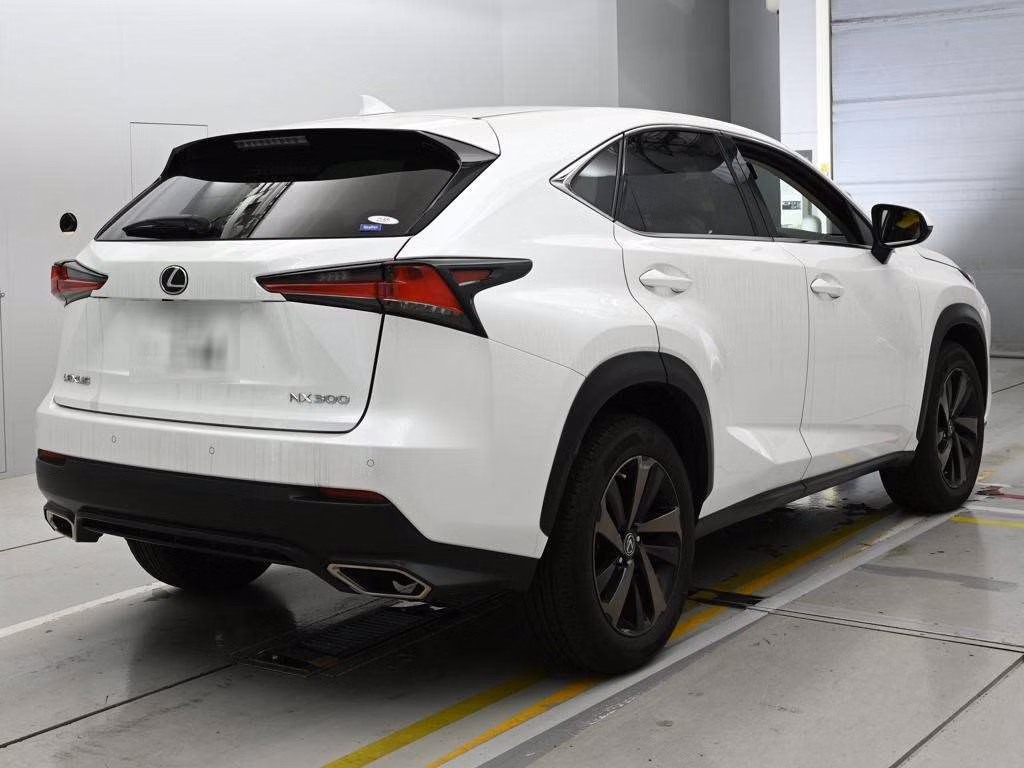LEXUS NX300