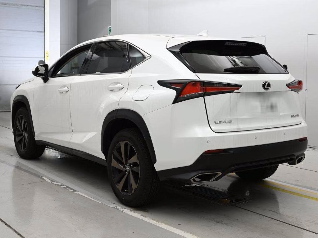 LEXUS NX300